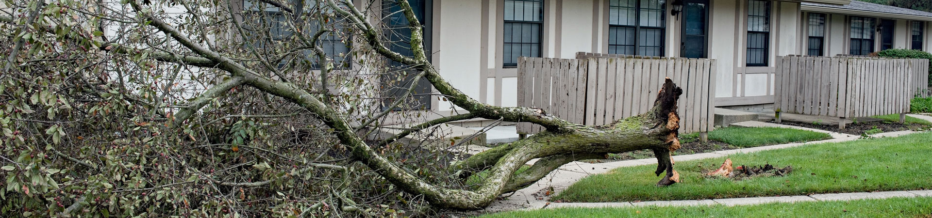 Storm Damage Restoration